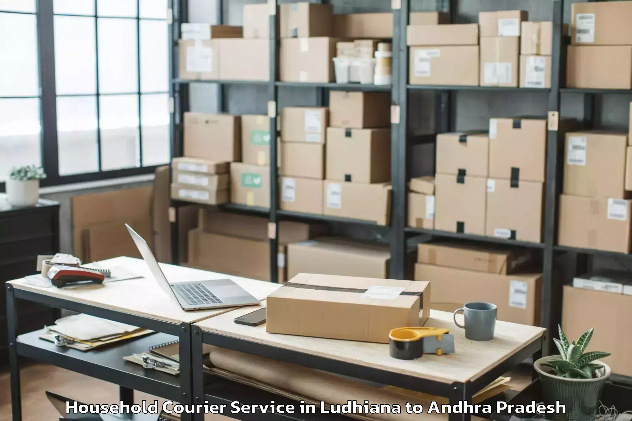 Quality Ludhiana to Mamidikududru Household Courier